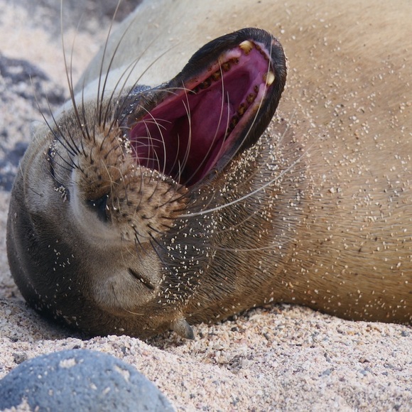 Meet your Posher, Nicholas - Picture 1 of 1